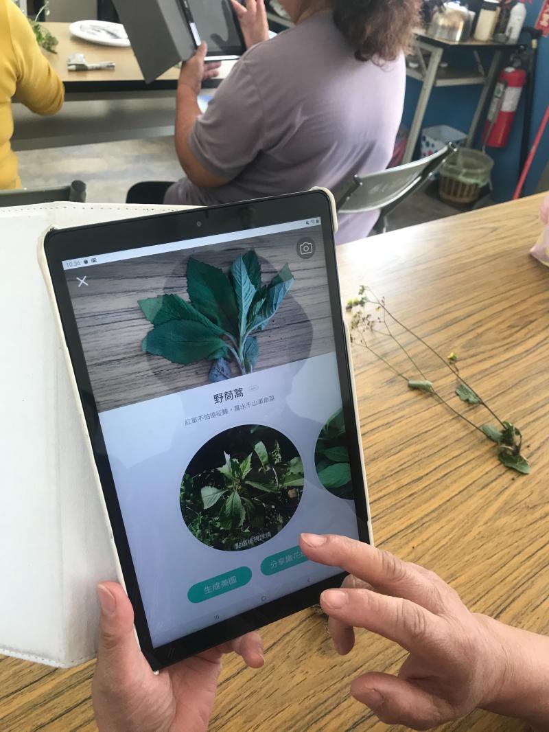 學員們利用形色APP 查詢植物