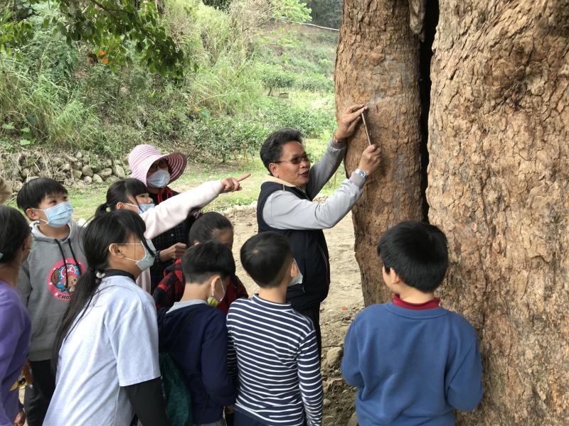 由劉昌坤老師介紹百年茄冬樹沿革及教導學員用手機拍台灣的照片上課情形
