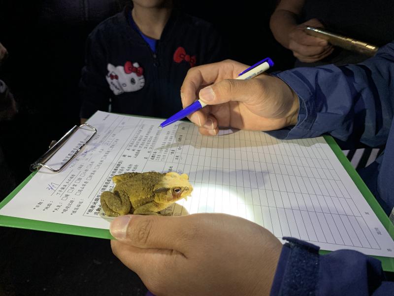 教大家蛙類調查的表格填寫方式與各項分類需記錄的原因
