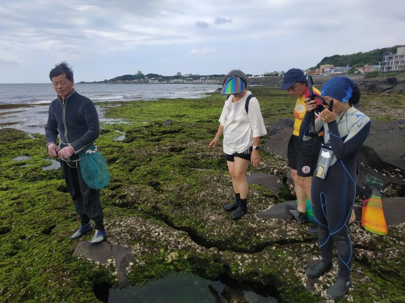 講師帶學員至海邊採石花菜體驗