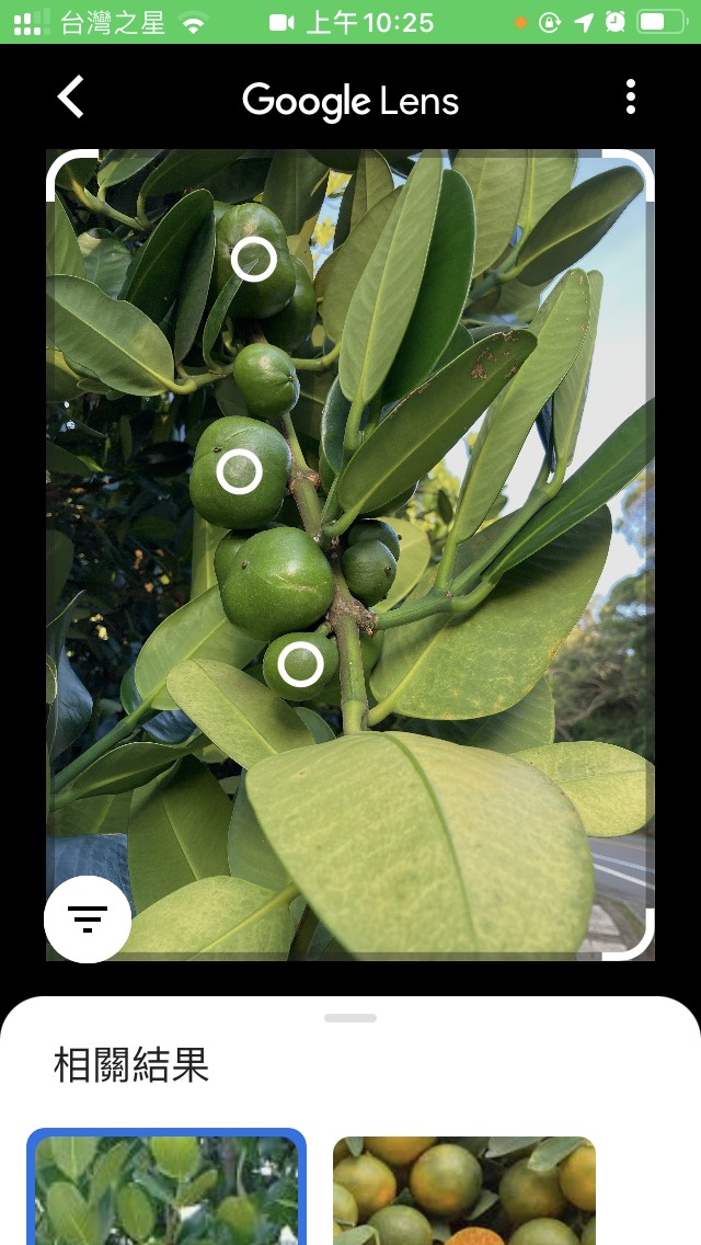 Google Lens辨識水果