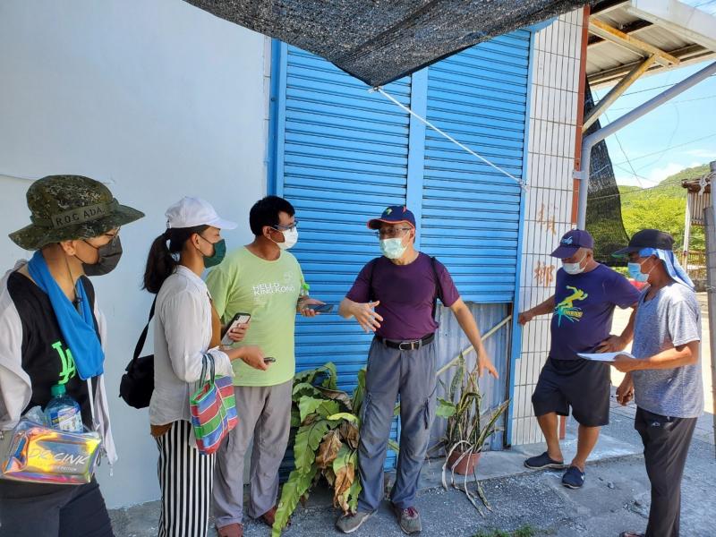 街道植物介紹使用app辨識植物