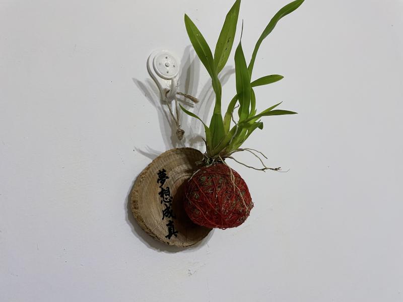 藉由雷雕機切割後，開心的產出文字運用於水苔球上別有一番風味