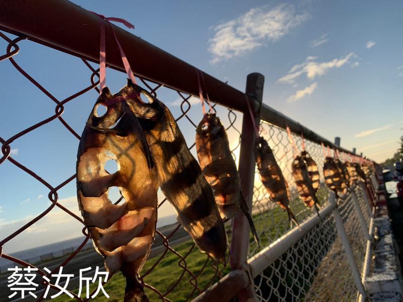 蔡學員成果照
