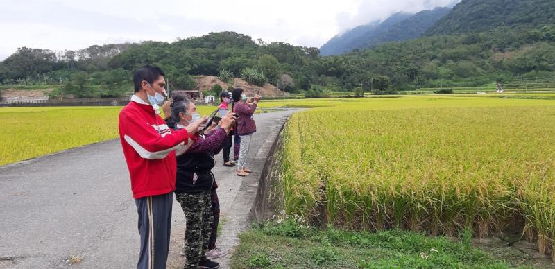 講師帶學員去戶外體驗3c平板攝影，學員練習拍風景照都很開心