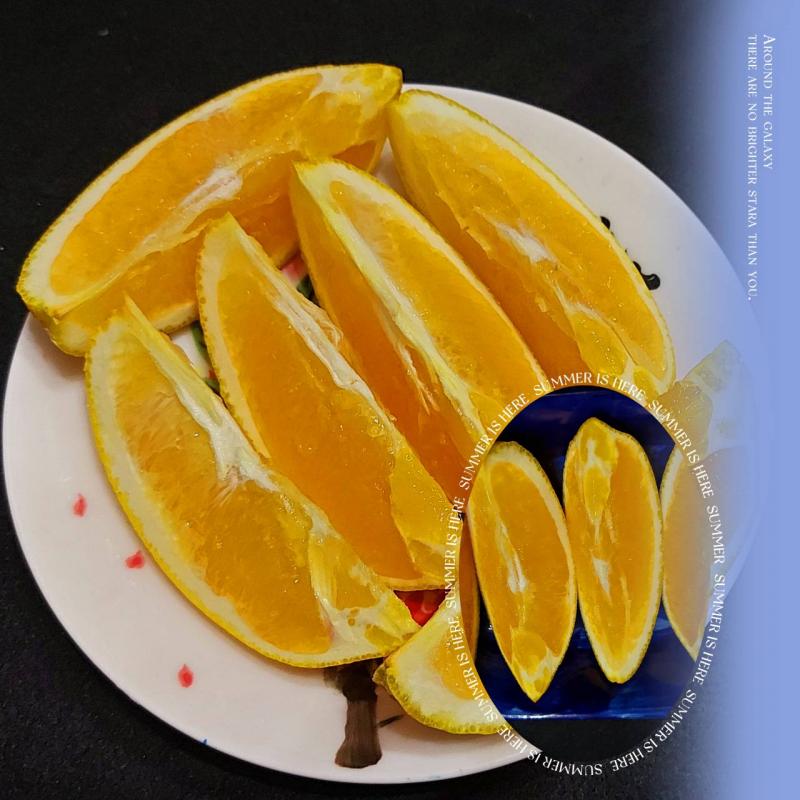 學員橙子擺盤畫面