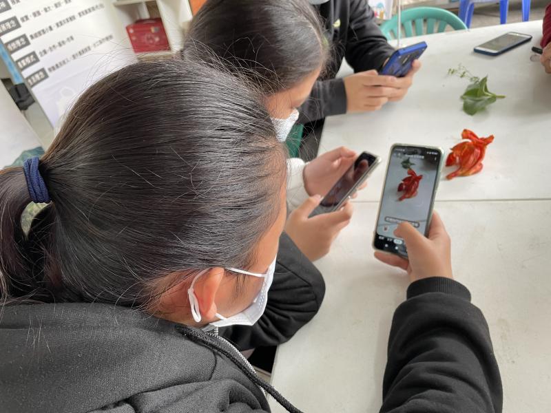 練習操作Google智慧鏡頭