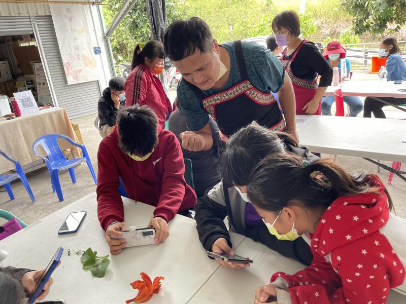 植物辨識不求人-        鄉間旅遊好物-封面照