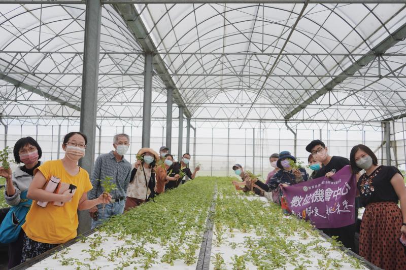 到小農的溫室，認識水耕香菜的種植過程。