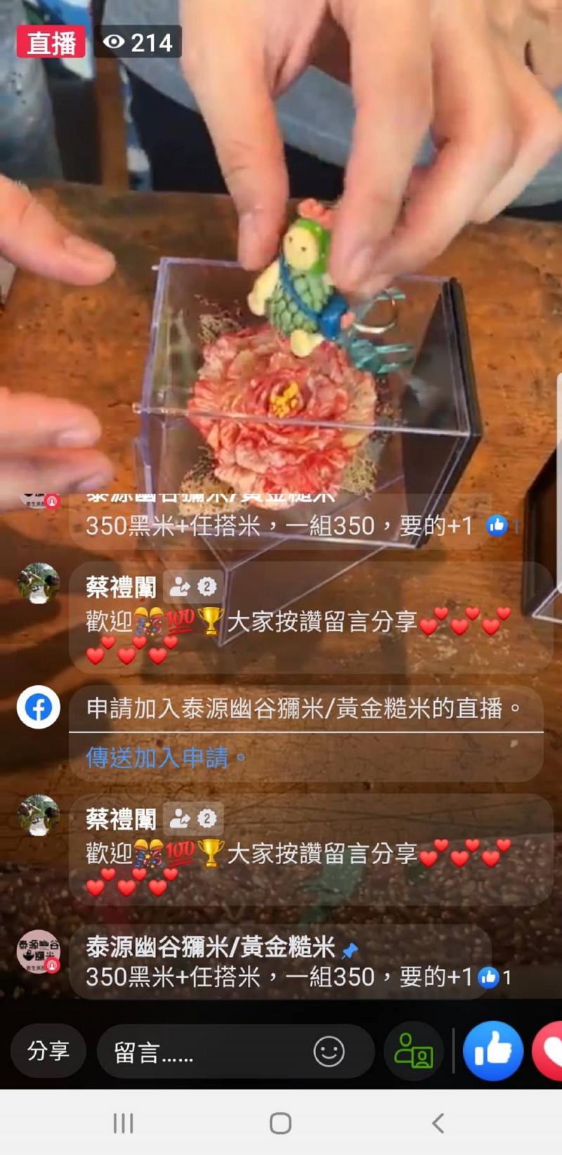 整顆柚子都是寶藝術花分享