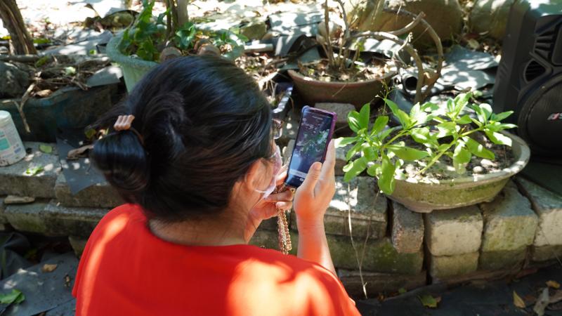 學員用自己手機下載植物辨識APP後，實際到植物前打開掃描辨識