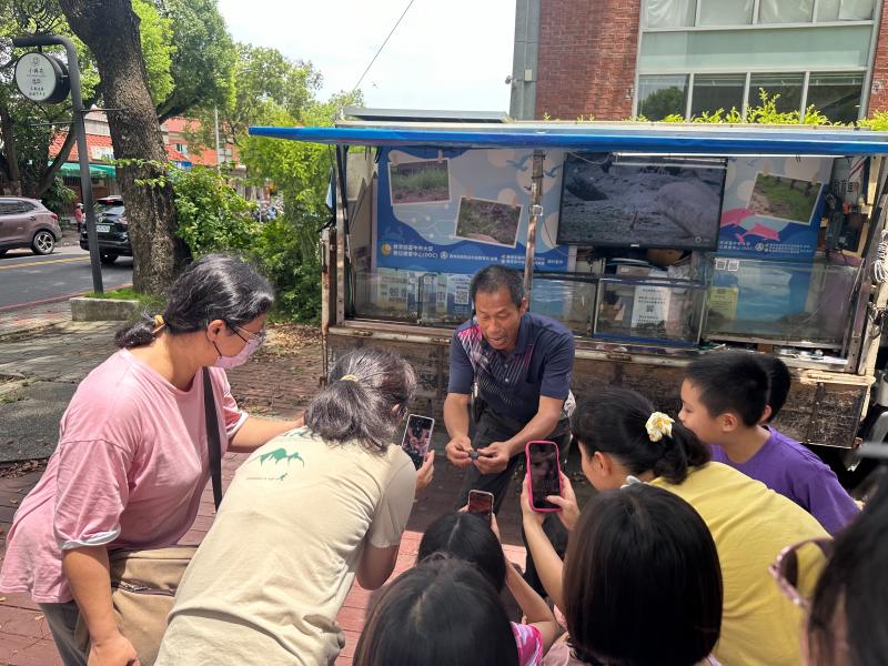 生態老師透過YouTube分享平日在大安濱海拍攝到的各種螃蟹