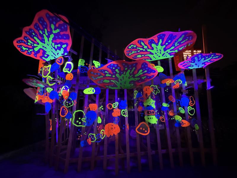 捕捉光影交織的美麗瞬間