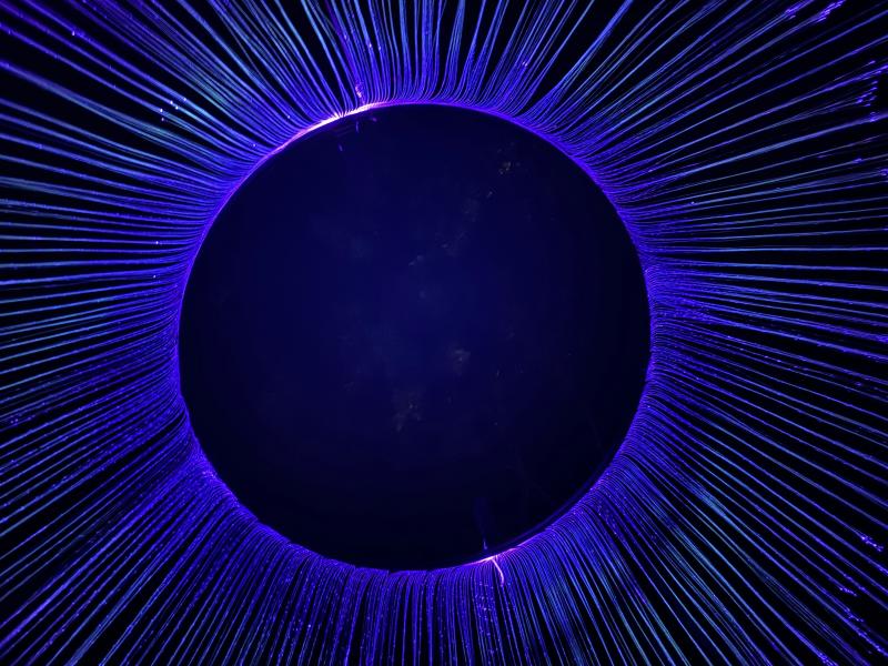 作品中透露出的靜謐與神秘氛圍