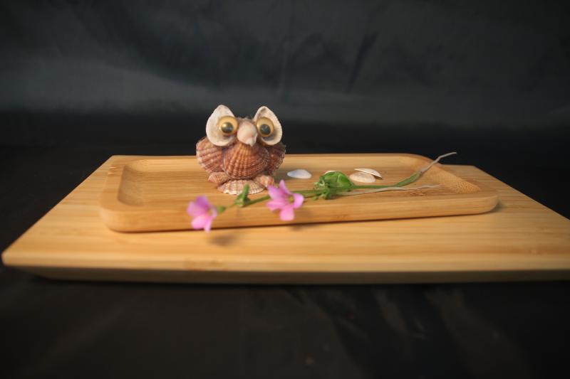 學員們最後完成的作品，從拍攝到調色都是學員們親手完成。