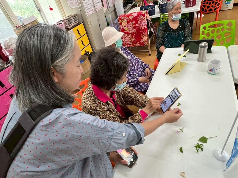 自己拿起熟悉的植物來尋找名稱，看看網路寫的跟自己知道的是否一樣!