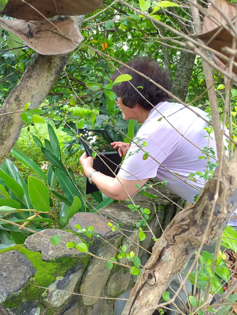 這位學員專注地拍攝植物，每一個角度都仔細調整，展現出對學習的用心與對自然的尊重。