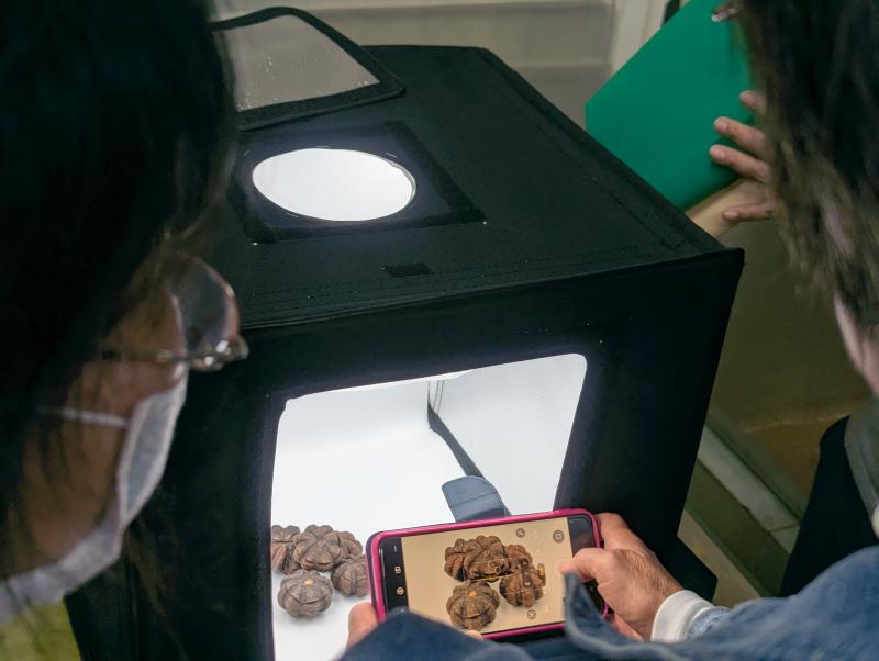 微型棚拍攝影練習