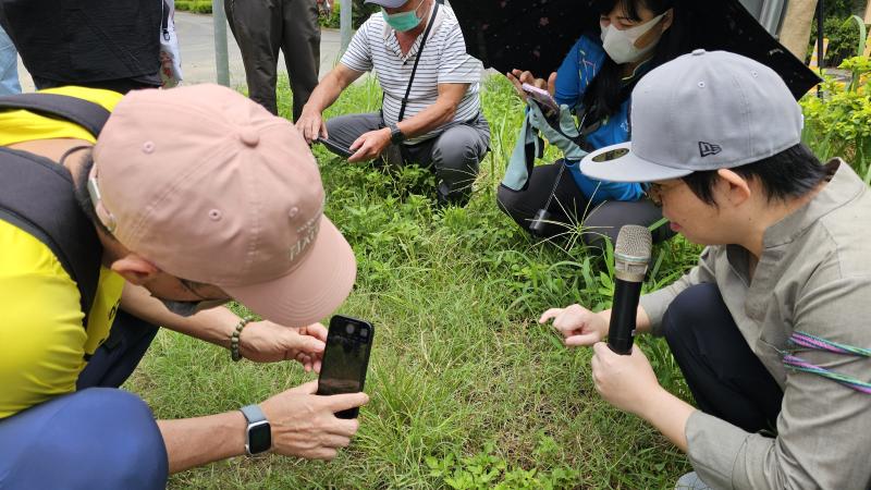 蹲低身體、改變視角，觀察日常忽略的雜草。