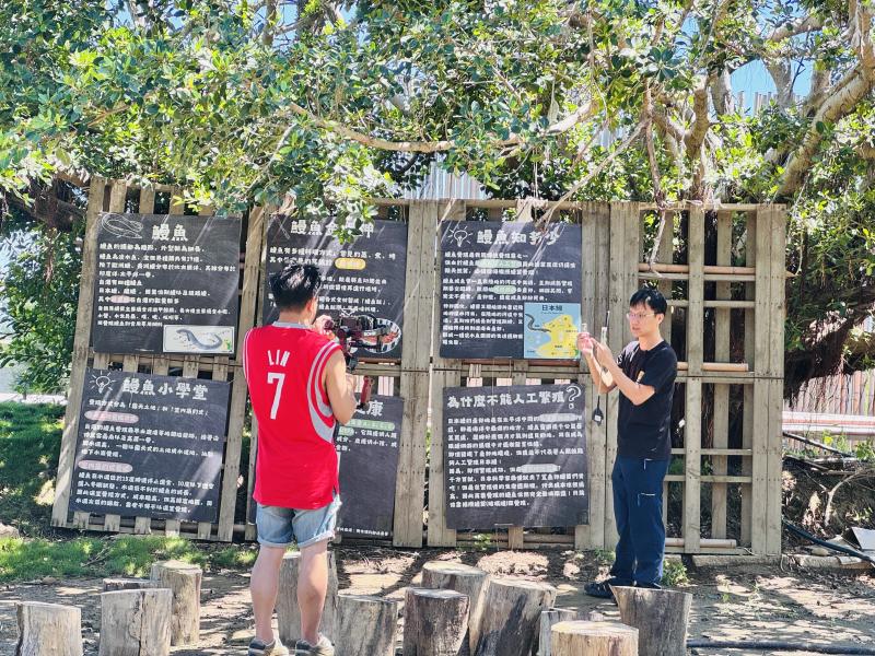 社區產業影音紀錄-口湖鰻魚-封面照