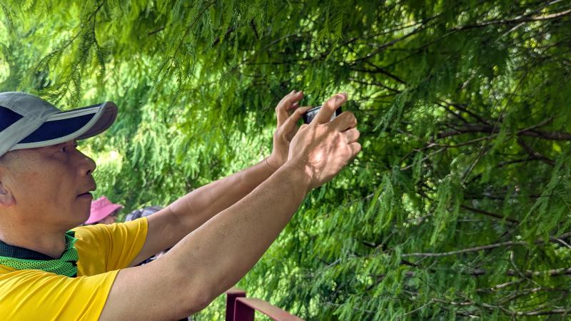 專注拍攝湖邊植物