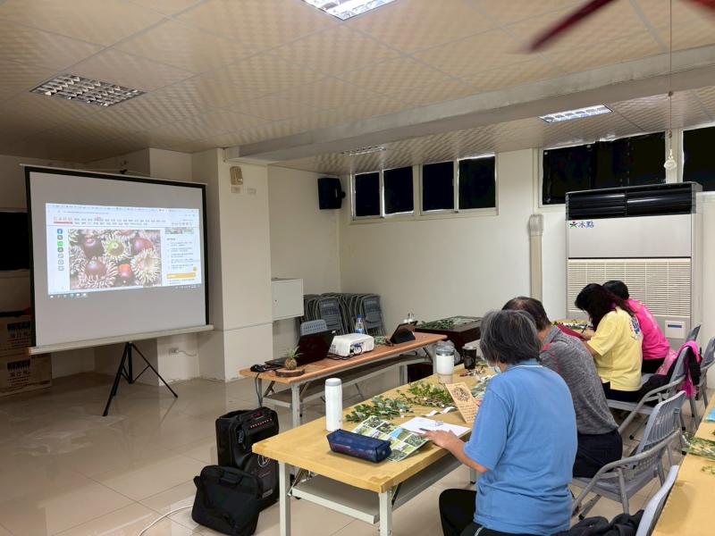 投影展示植物特點