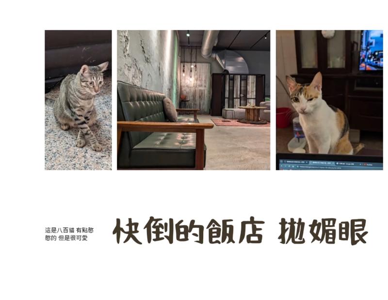 學員電子書作品：生活紀錄