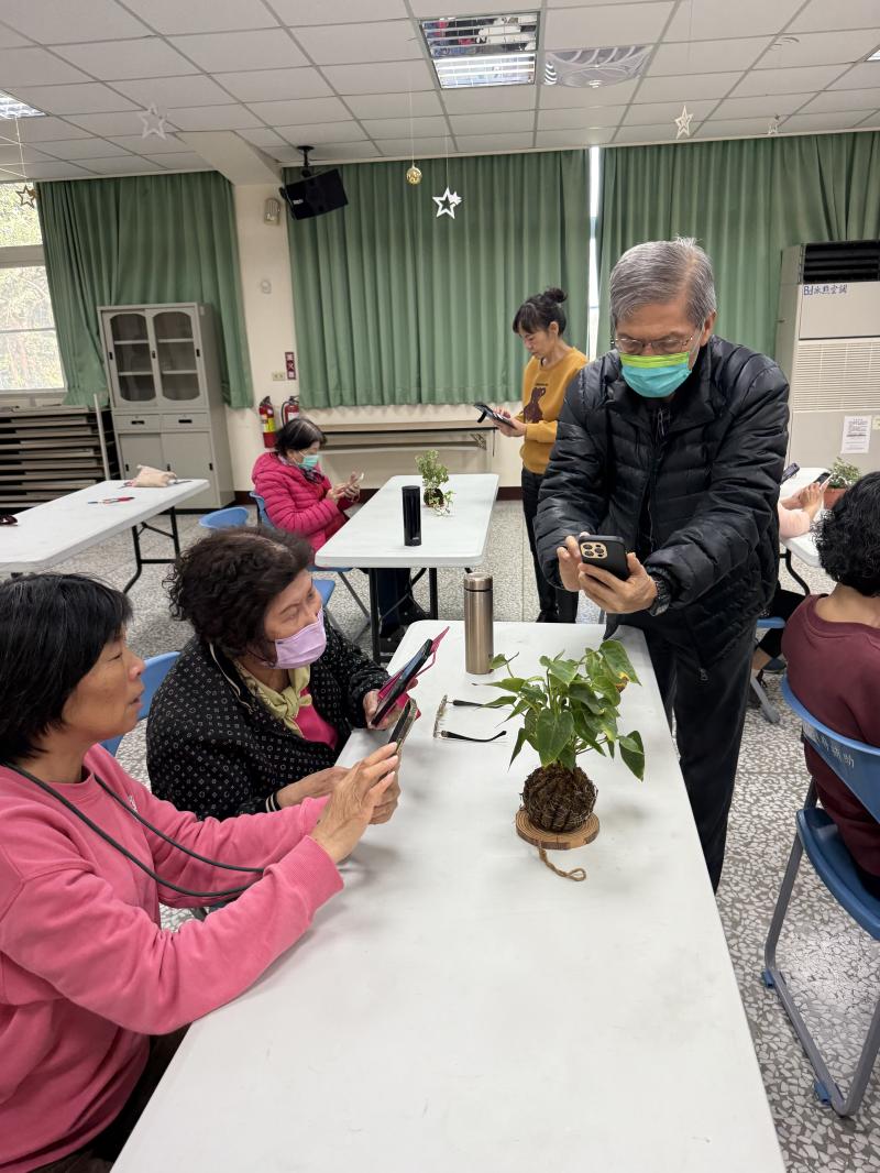 拍照就能知道這是什麼植物