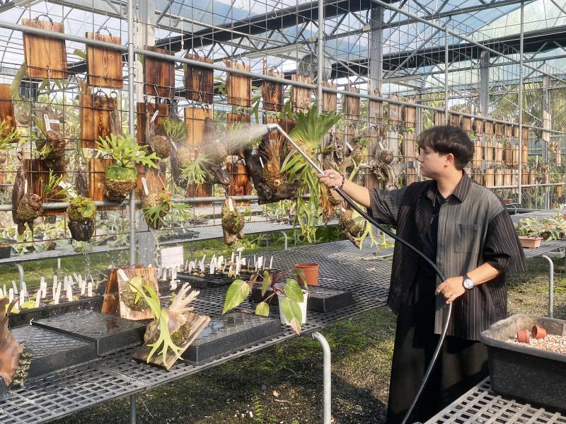 老闆為溫室植物澆水