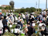 將軍區農會2026班芝花開蘿蔔庄園田園體驗活動登場