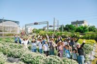 2025《 DOC 志工小旅行 No.4 》 田間彎腰手摘杭菊　漫步尋訪銅鑼人文