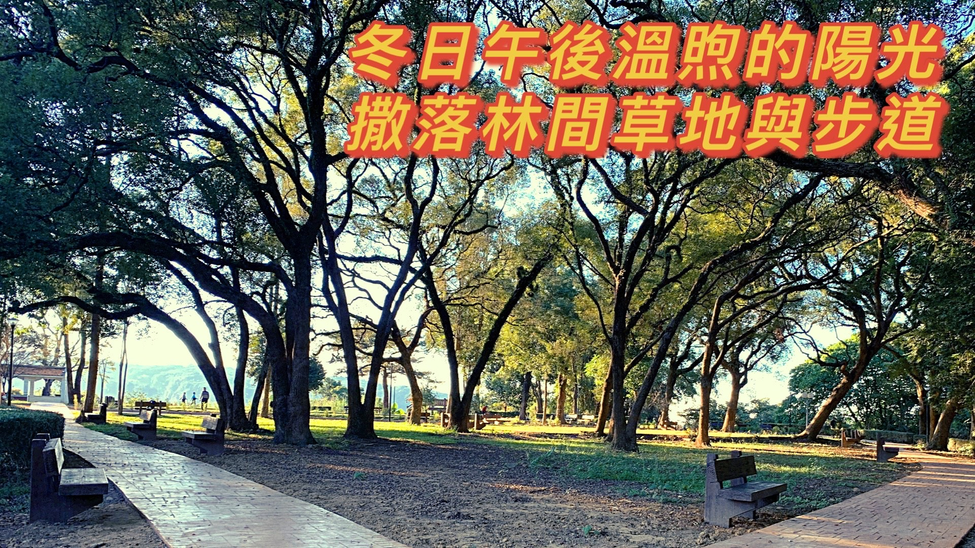 作品預覽圖：作品名稱冬日午後竹山公園
