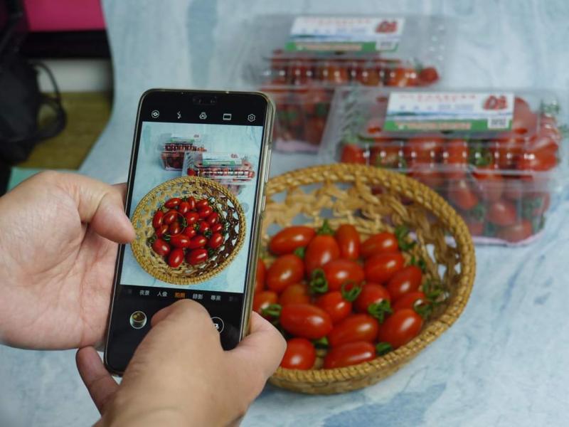 阿牛哥溫室番茄農場的蜜番茄手機商品攝影照