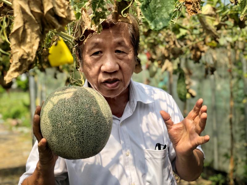 大傻瓜有機農園的園長鄭庚和是北海岸石門區有機農業重要的推手。