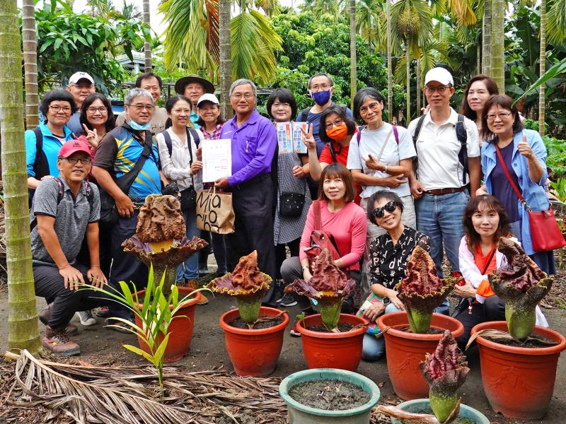 屏東縣新埤鄉建功村復育魔芋有成,因此帶動地方觀光,不少人「聞臭而來」,就為一睹這神奇植物。