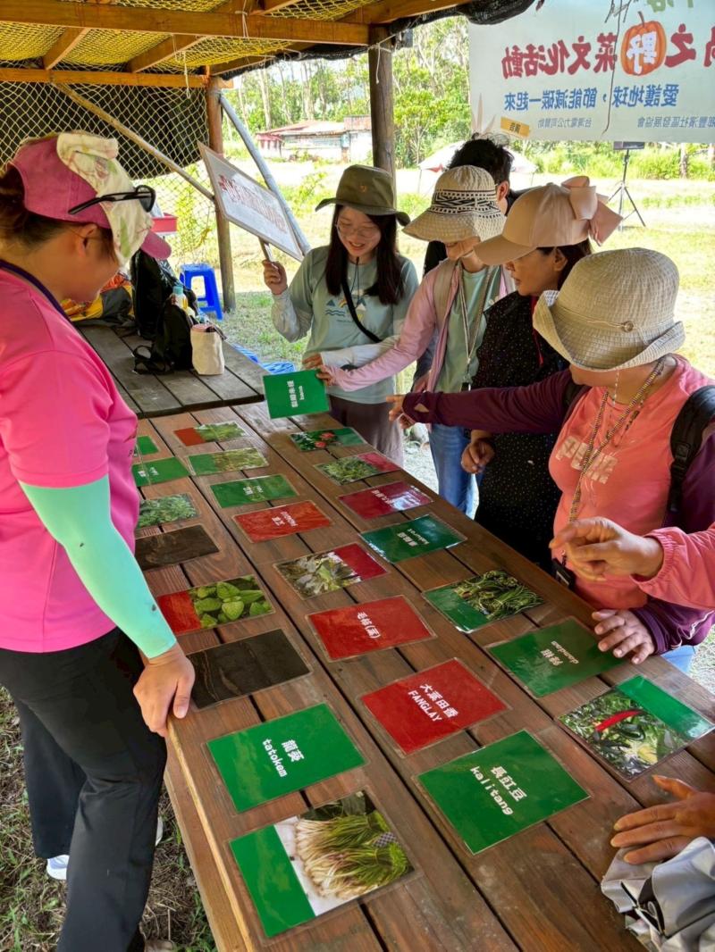 民眾體驗野菜桌遊，認識部落的傳統知識