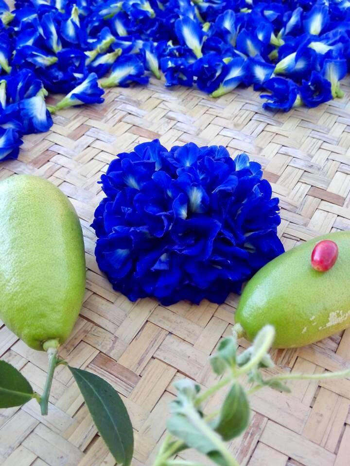 艾美筑低温烘焙蝶豆花-偏乡数位应用推动计画