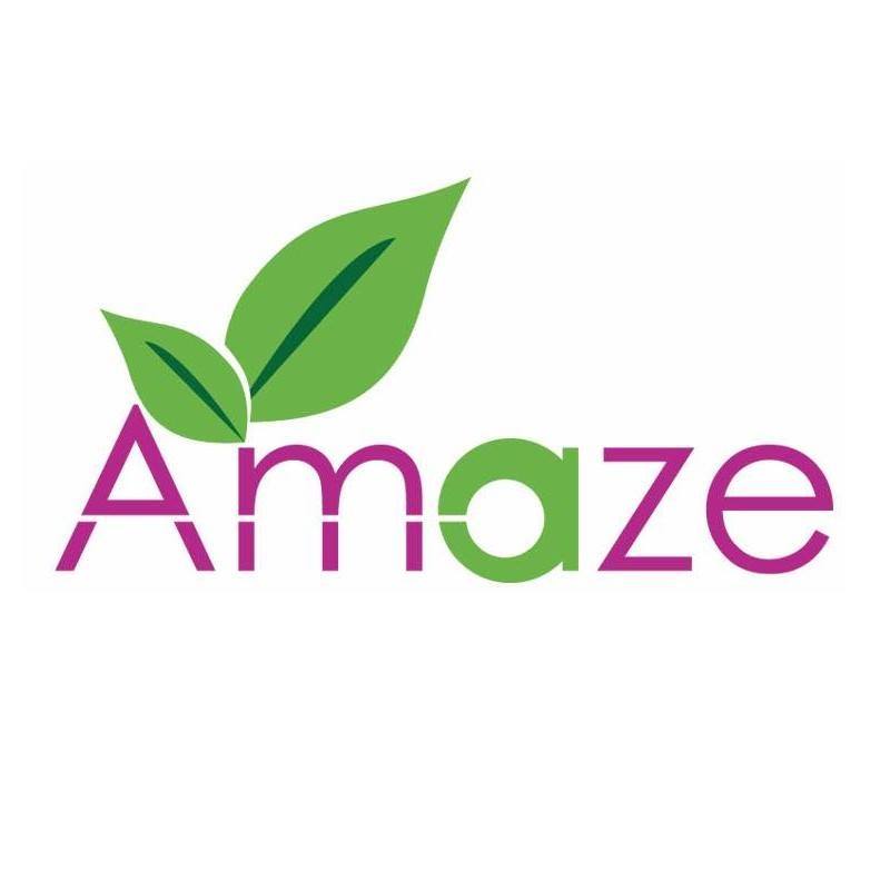 艾美筑植物萃取工坊原味柠檬果乾