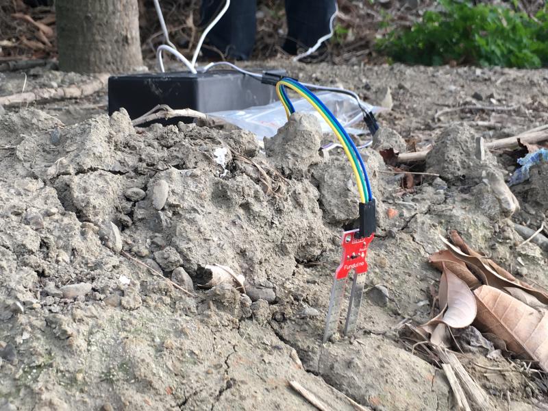 濕度感應元件置入土壤中隨時監測土染含水量
