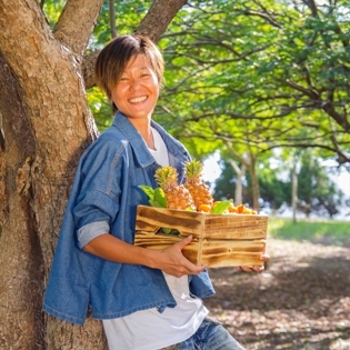 夏日涼風徐徐吹來