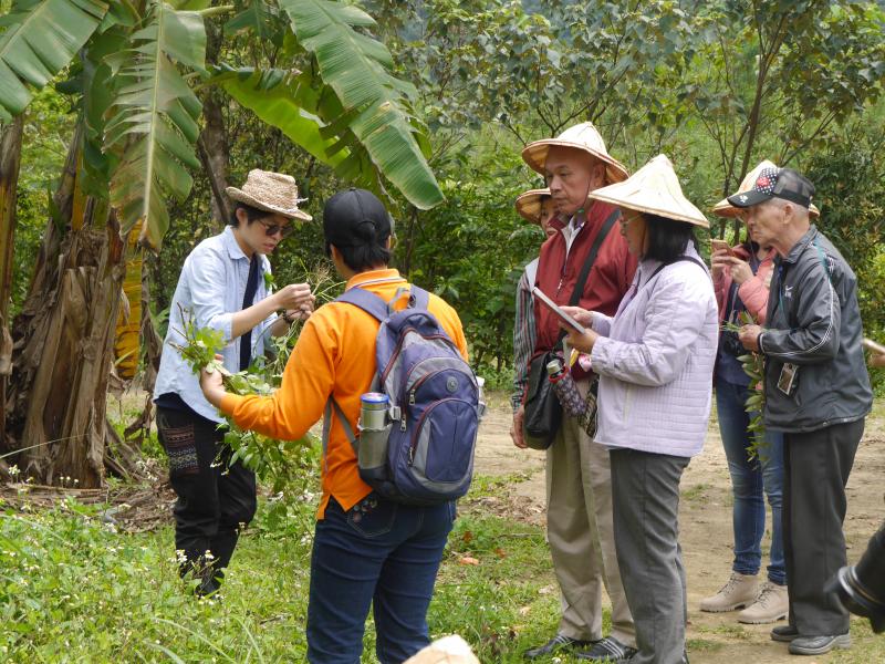 橫山 DOC 學員們一起探索橫山的土地滋味，找回屬於在地的民俗植物使用文化。