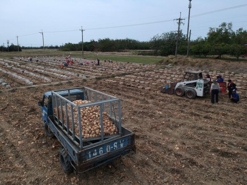 空拍取鏡，記錄從栽種到行銷。