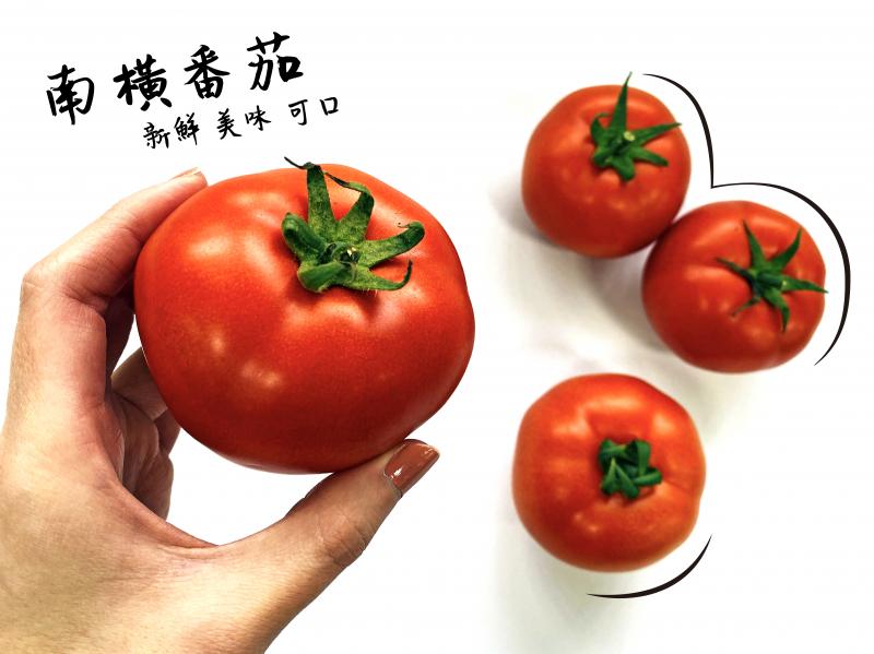 學員拍攝後製番茄產品照片