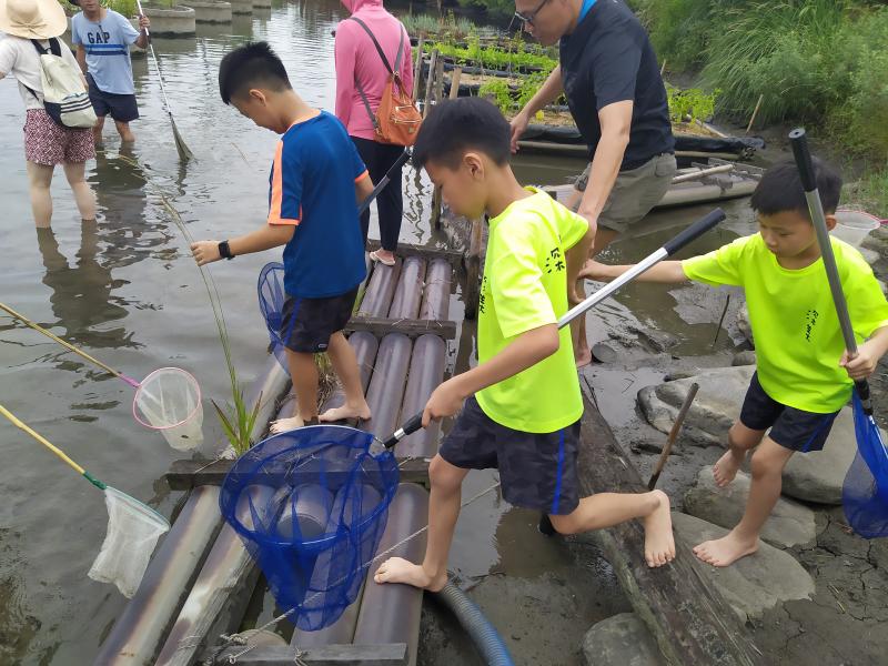 志工帶著小孩一同跳入魚池，協助清潔保育