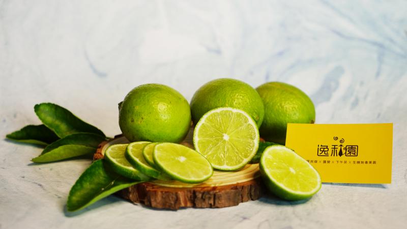 逸和園環境介紹