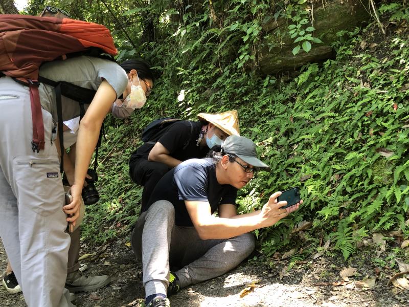 卓溪DOC開設生態攝影課程，帶領學員進入瓦拉米步道，捕捉自然界中的主角們!