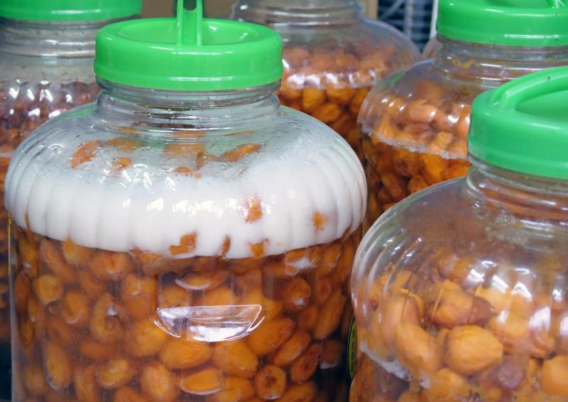 枇杷釀自然發酵古法釀製法