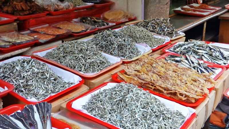 大、中、小多種尺寸丁香魚