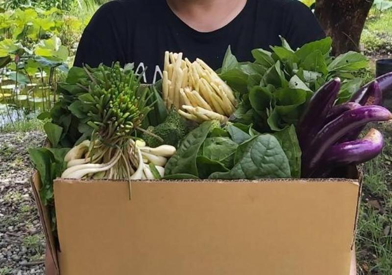 花蓮市DOC協助在地小農蔬菜箱販售