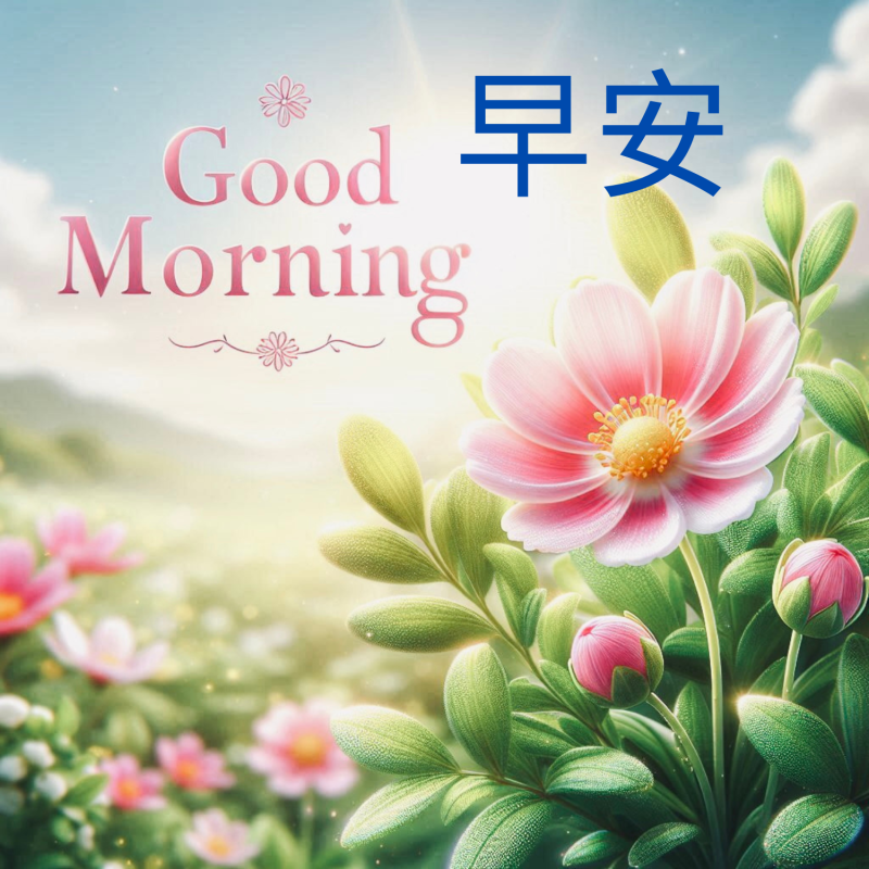 透過課程,長輩們親自設計出獨一無二的早安圖。